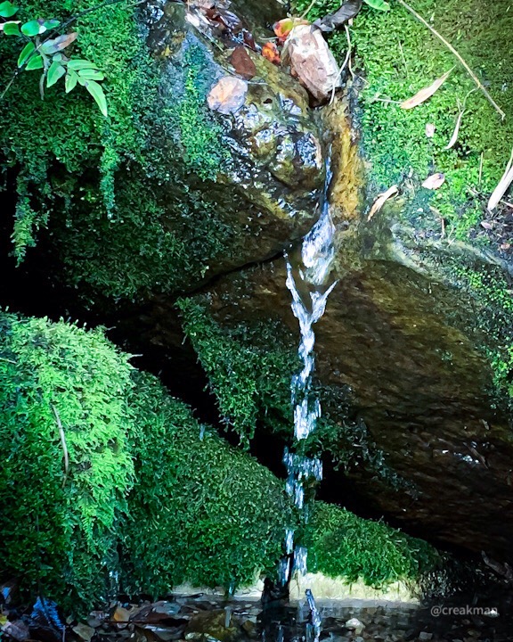 Caminos de los Cerros Orientales: el ascenso desde Usaquén